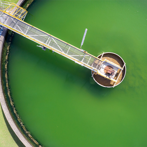 Environmental Surveillance Services