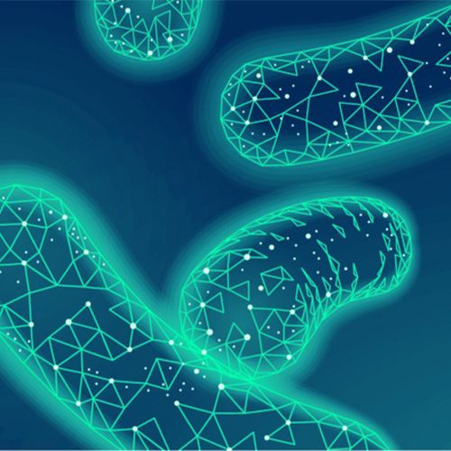 Microbiome Analysis Services