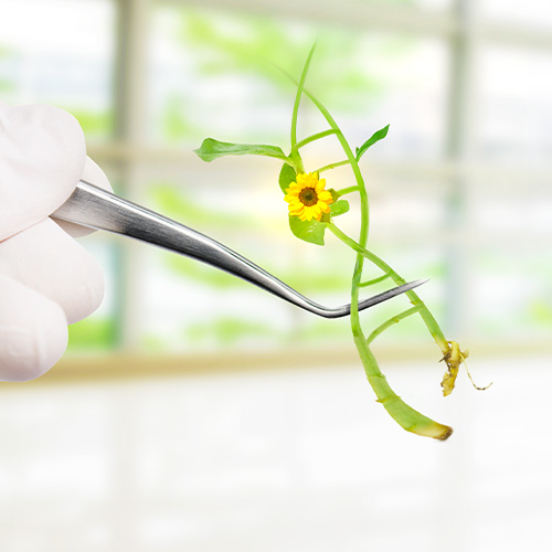 Nucleic Acid Purification Services